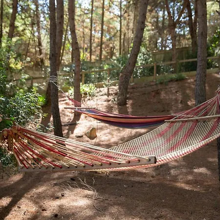 Residenza Del Timo Hébergement de vacances Gallipoli
